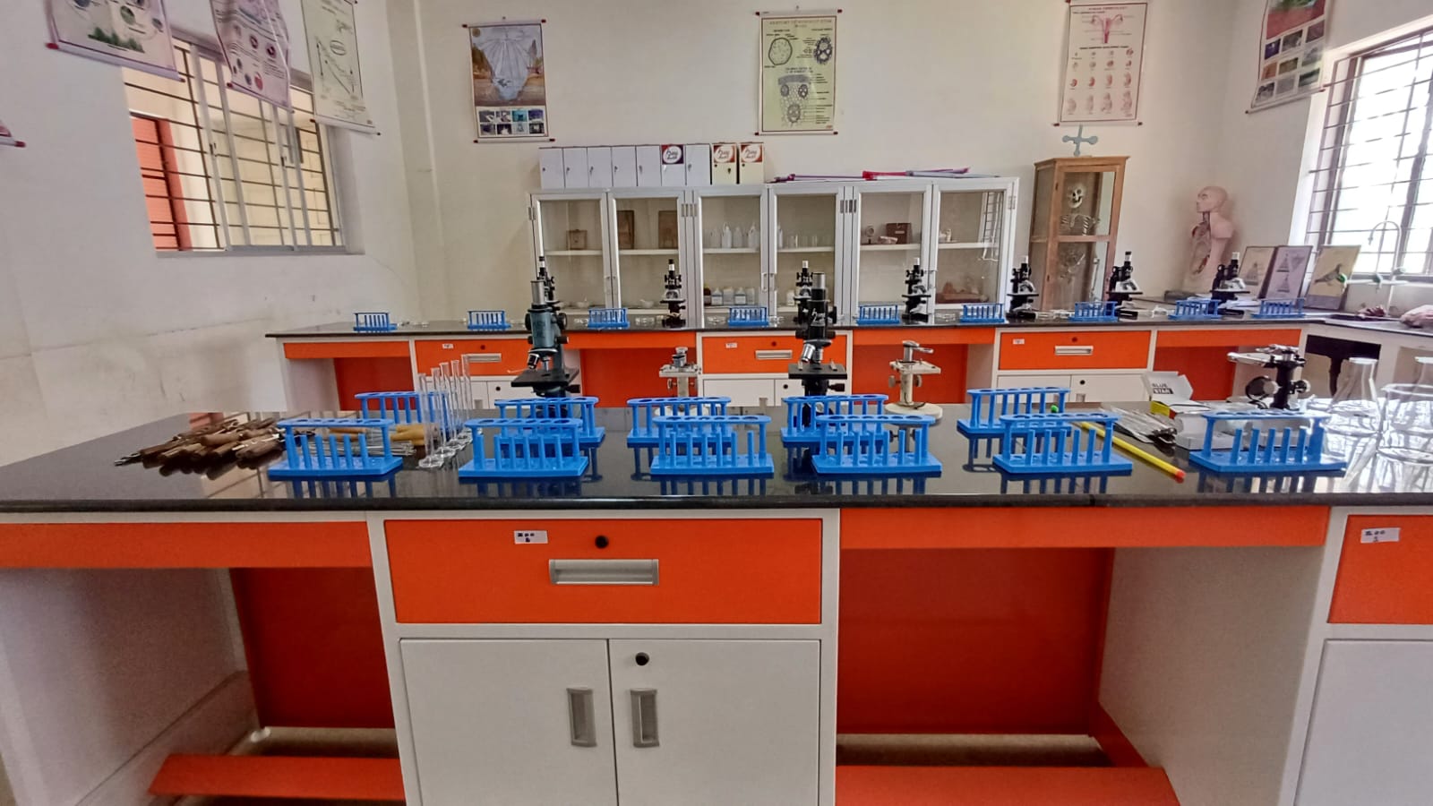 Laboratory Image 9